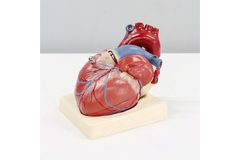 Image Image